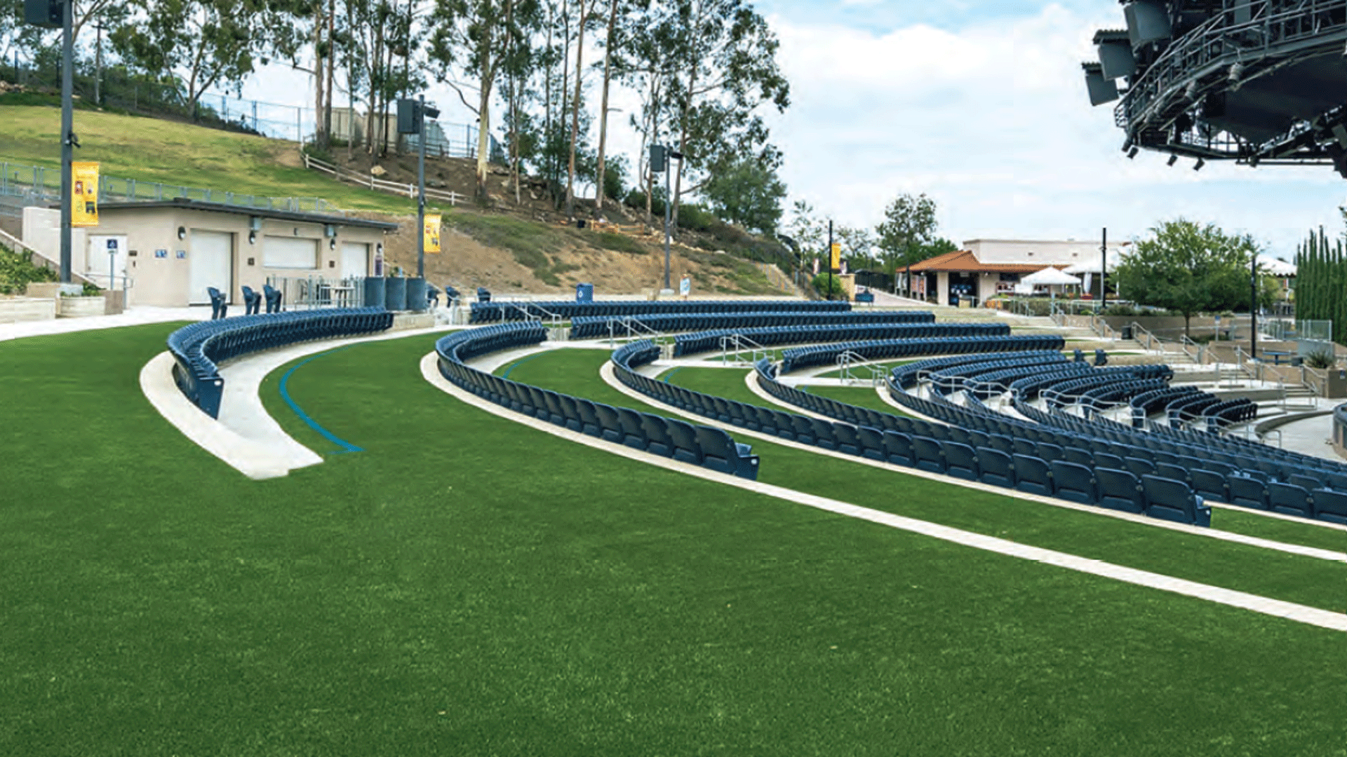 Artificial Grass Carrollton team