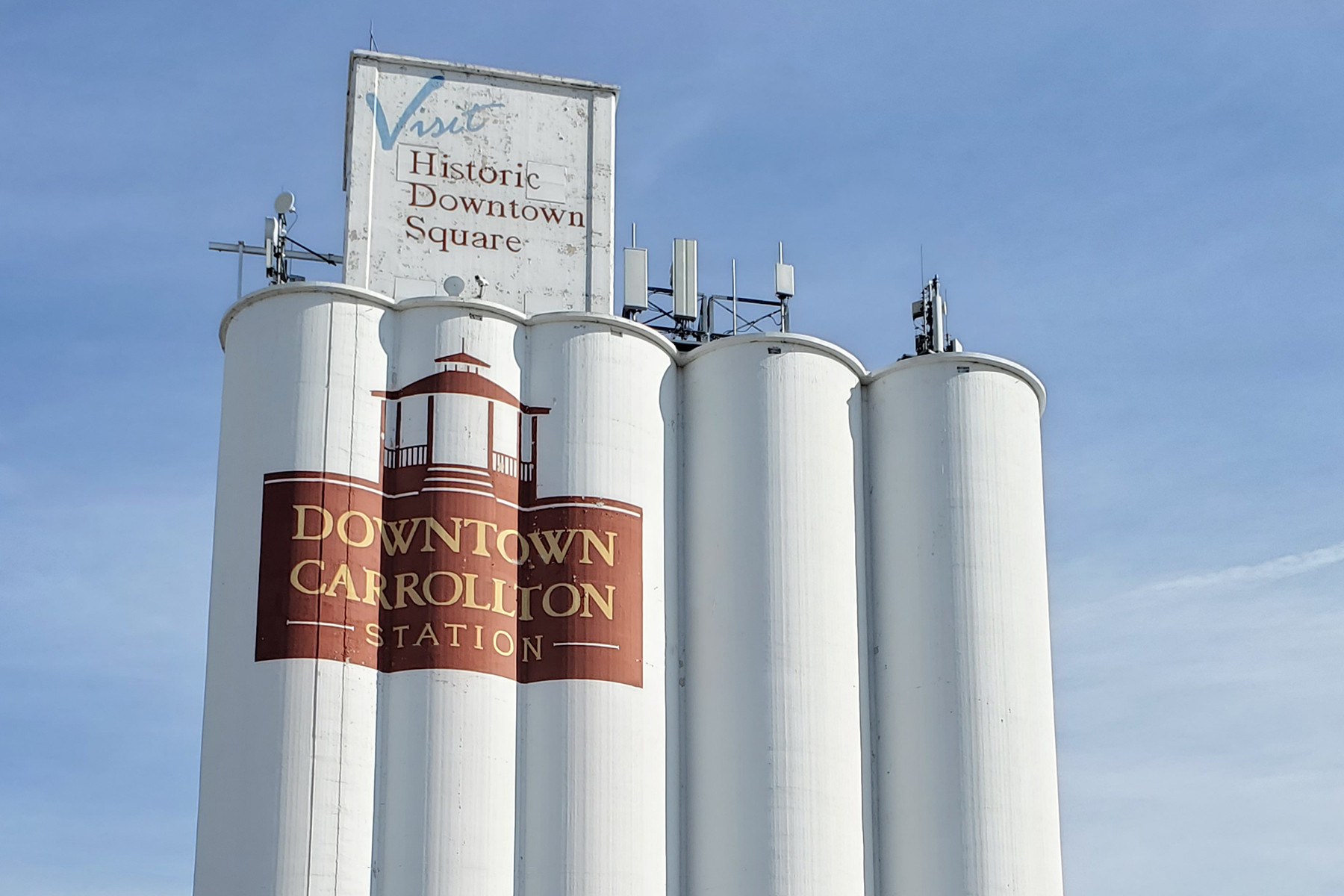 Carrollton artificial grass services